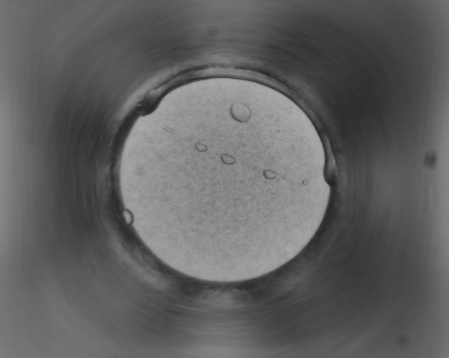 X0000115730488200912241629