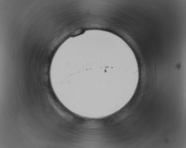 X0000115730489200912241629