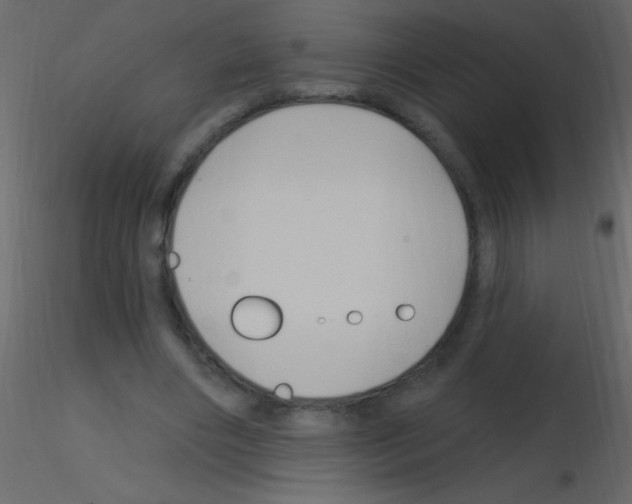 X0000115730490200912241629