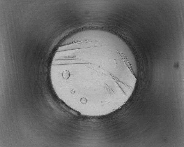 X0000115730492200912241629