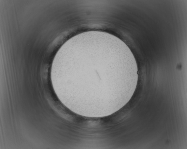 X0000115730495200912241629