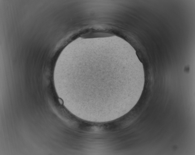 X0000115730496200912241629