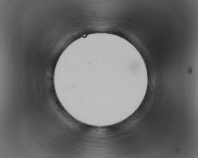 X0000115730497200912241629