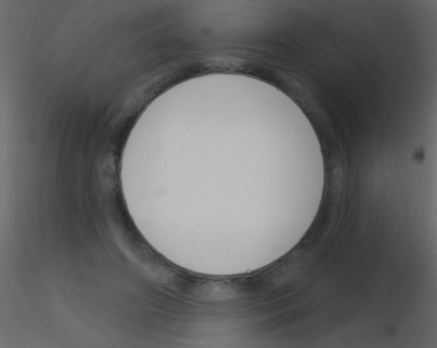 X0000115730498200912241629