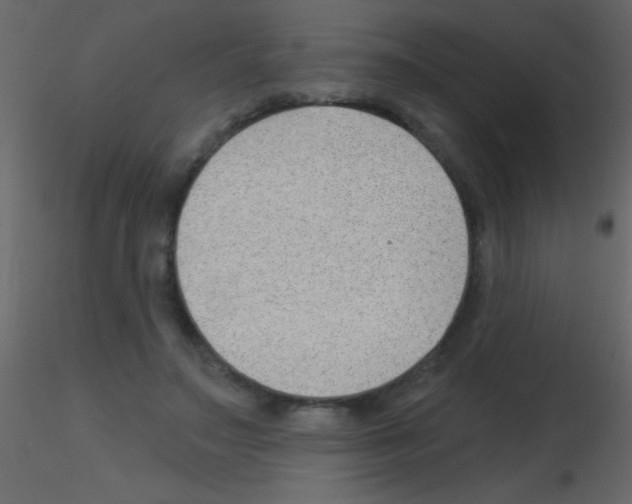 X0000115730499200912241629