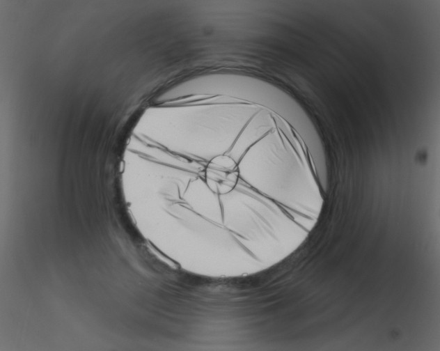 X0000115730500200912241629