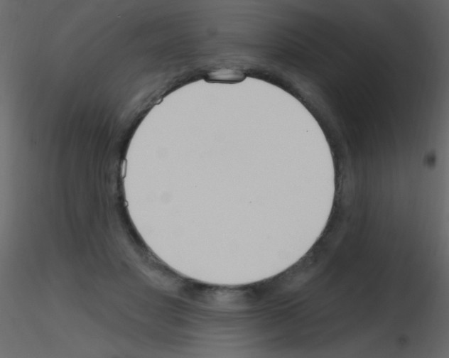 X0000115730501200912241629