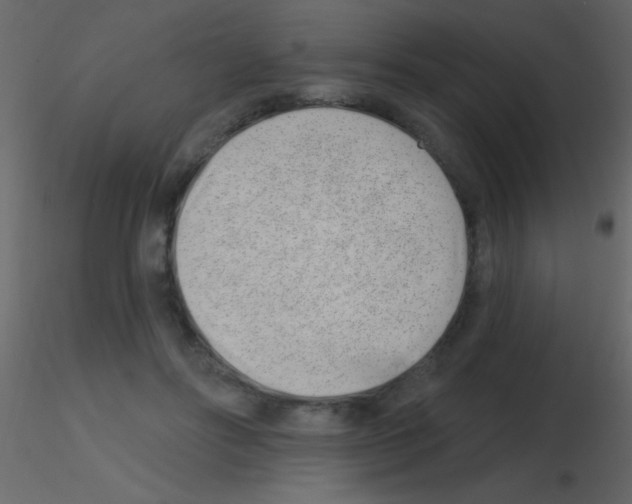 X0000115730502200912241629