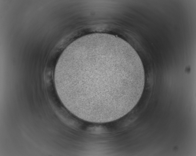 X0000115730503200912241629
