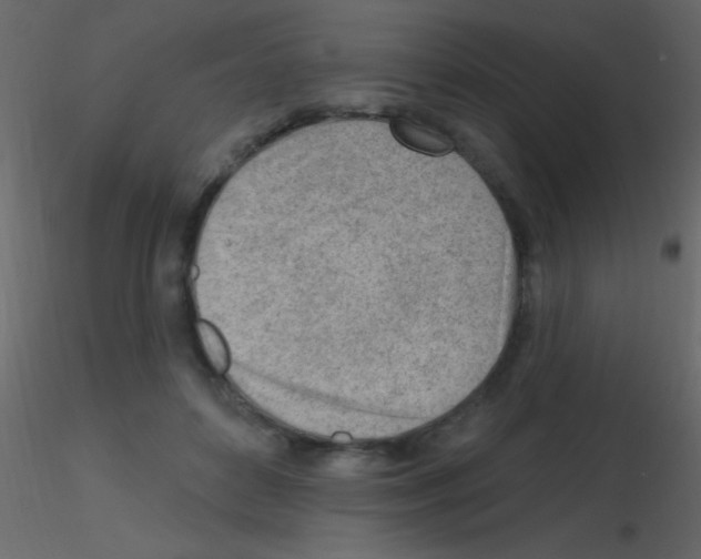 X0000115730504200912241629