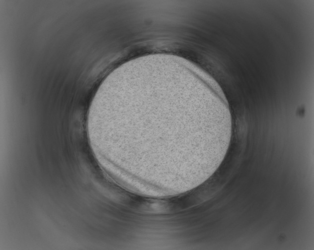 X0000115730506200912241629