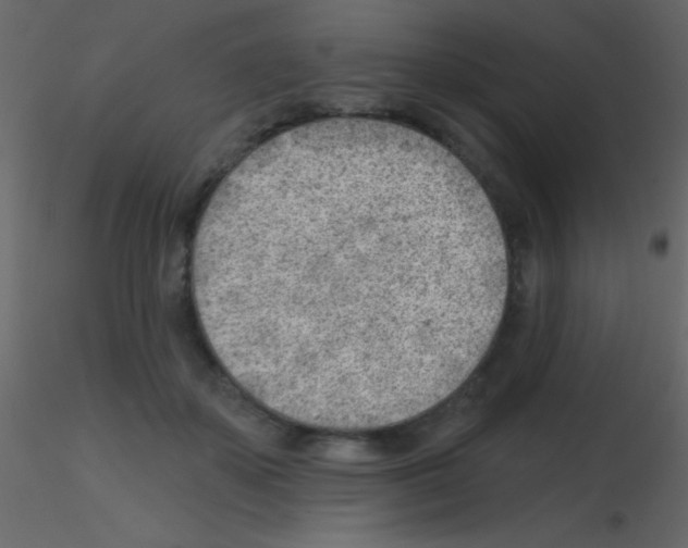 X0000115730507200912241629