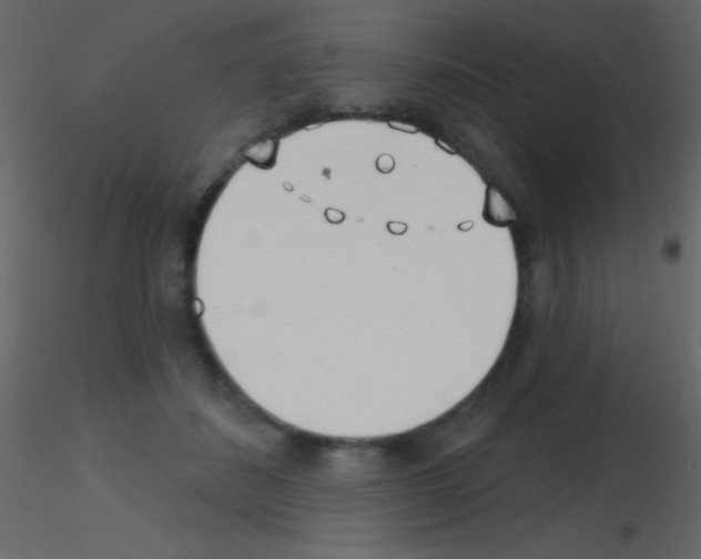 X0000115730508200912241629
