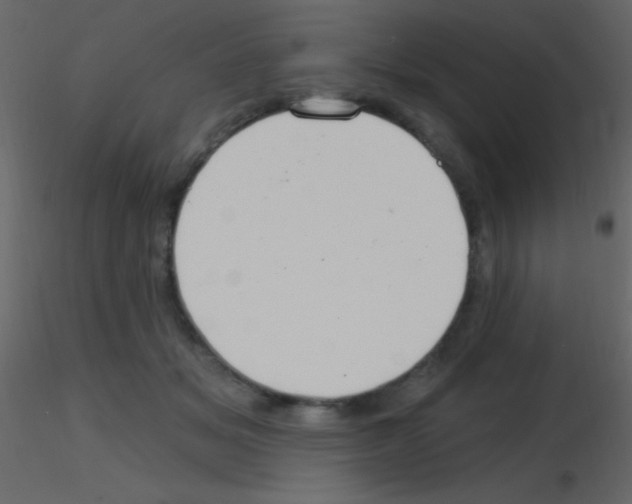 X0000115730509200912241629
