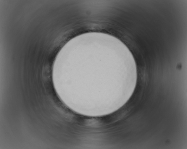 X0000115730511200912241629