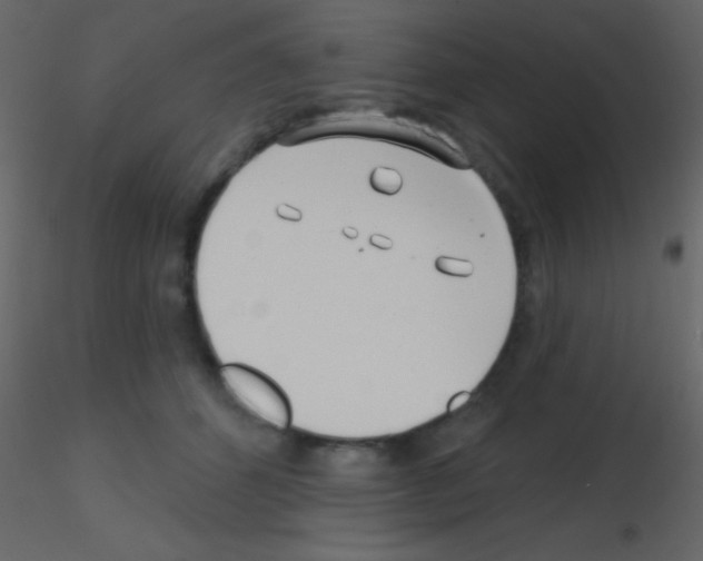 X0000115730512200912241629