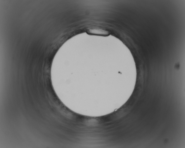 X0000115730513200912241629