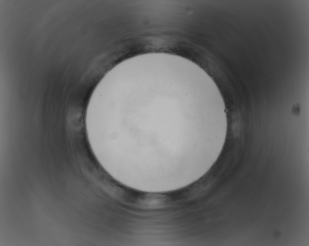 X0000115730514200912241629