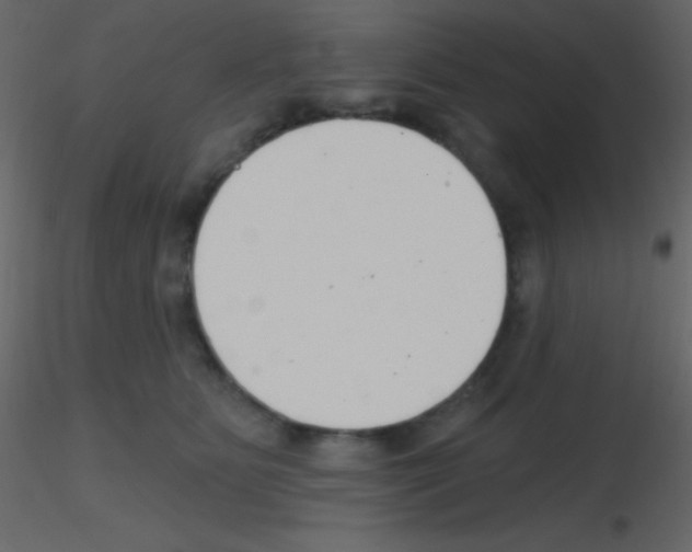X0000115730515200912241629