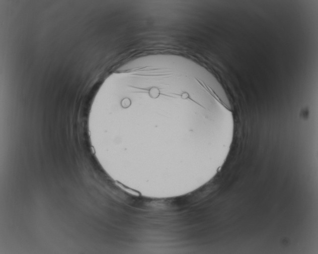 X0000115730516200912241629