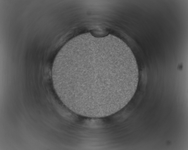 X0000115730517200912241629