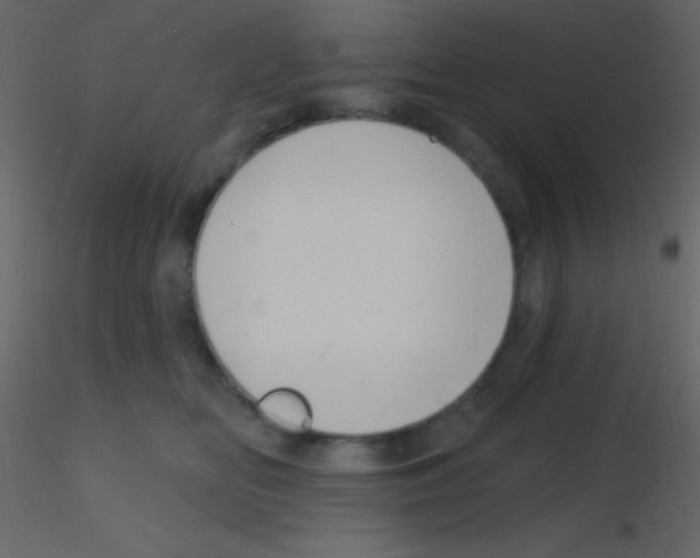 X0000115730518200912241629