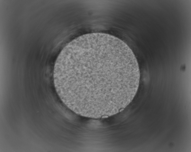X0000115730519200912241629