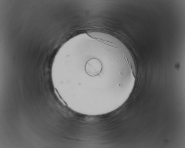 X0000115730520200912241629