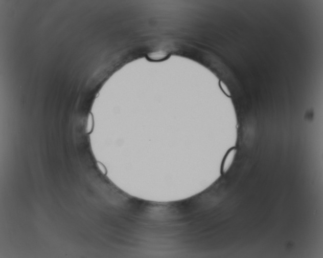 X0000115730521200912241629