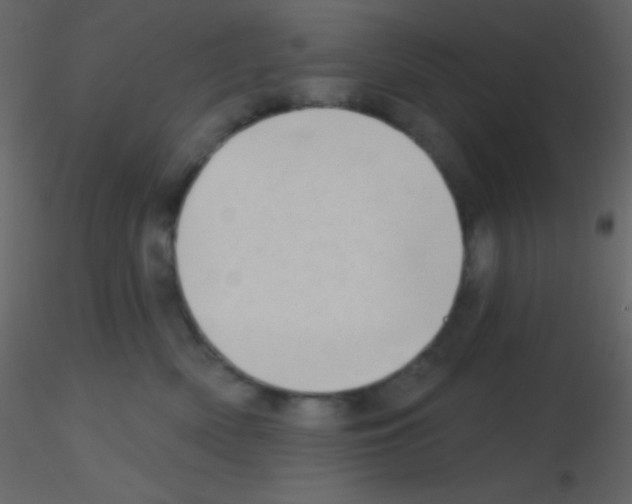 X0000115730522200912241629