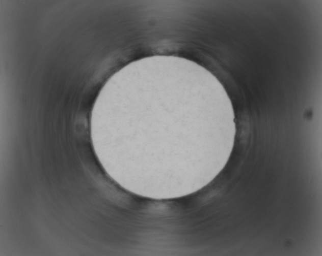 X0000115730523200912241629