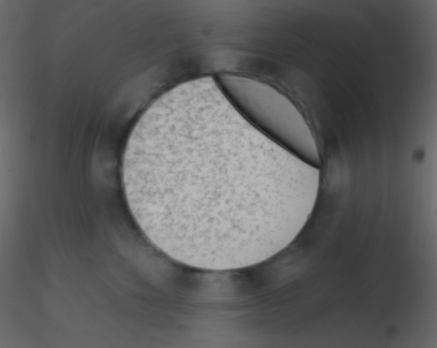 X0000115730524200912241629