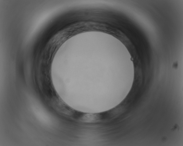 X0000115730526200912241629