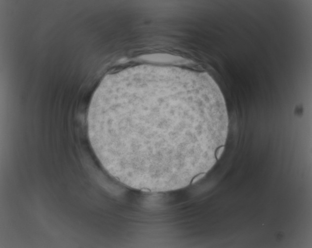 X0000115730527200912241629
