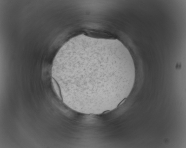 X0000115730528200912241629