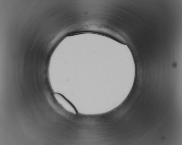 X0000115730530200912241628