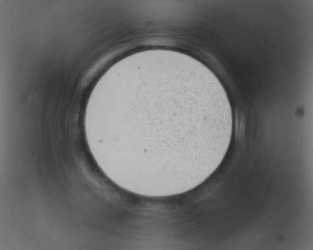 X0000115730531200912241628
