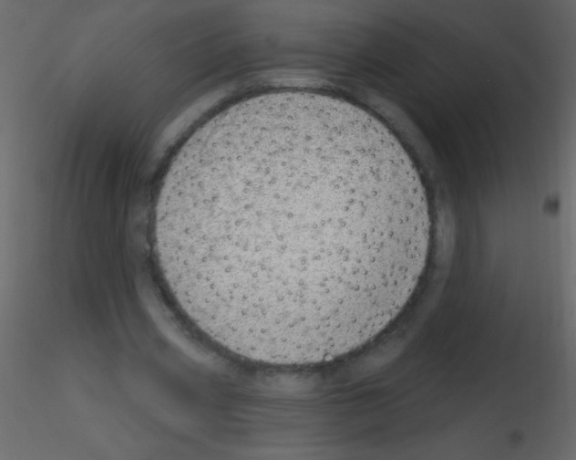 X0000115730533200912241628