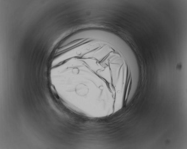 X0000115730534200912241628