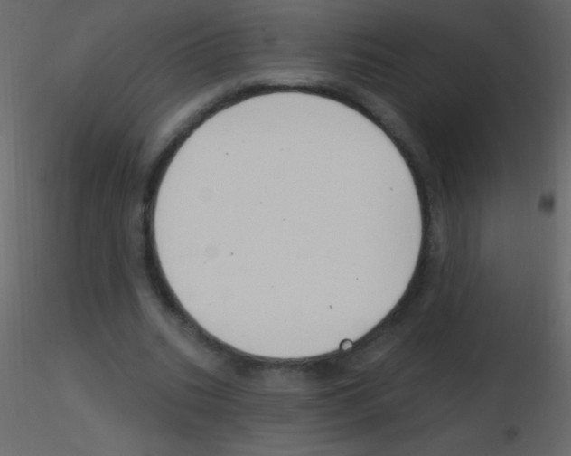 X0000115730535200912241628