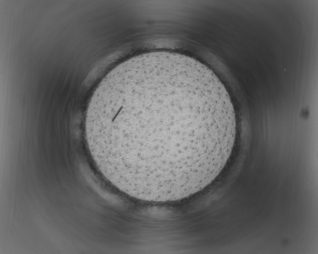 X0000115730537200912241628
