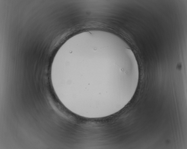 X0000115730538200912241628