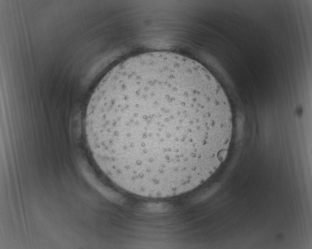 X0000115730541200912241628