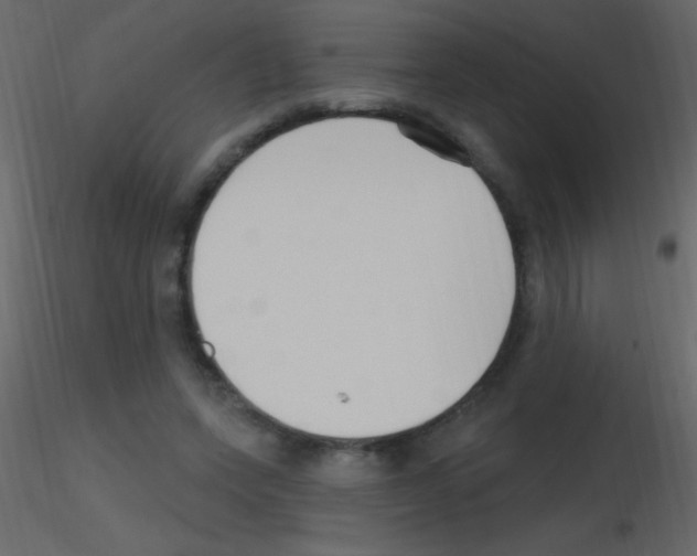 X0000115730543200912241628