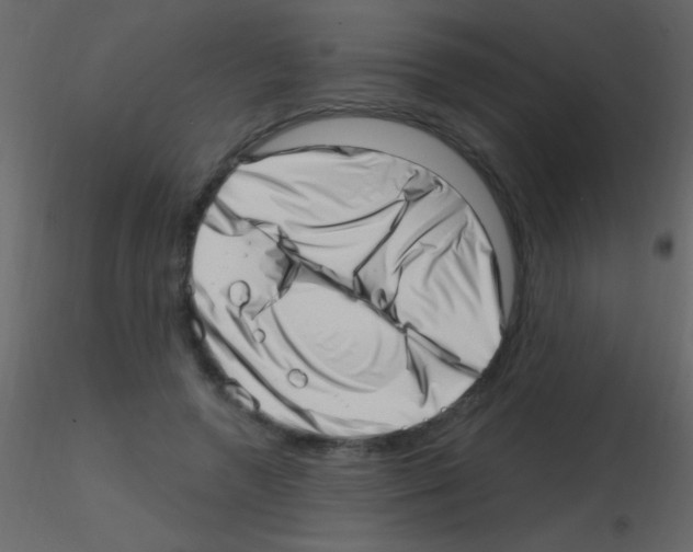 X0000115730546200912241628
