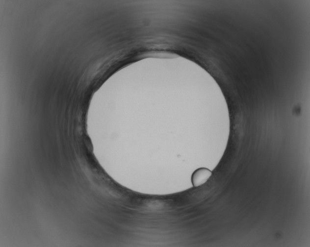 X0000115730547200912241628