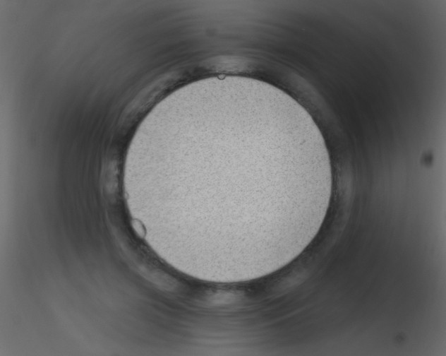 X0000115730549200912241628