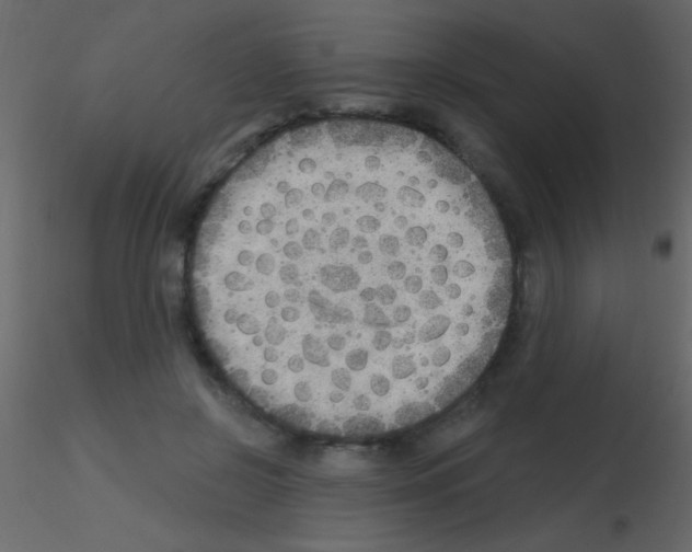 X0000115730550200912241628