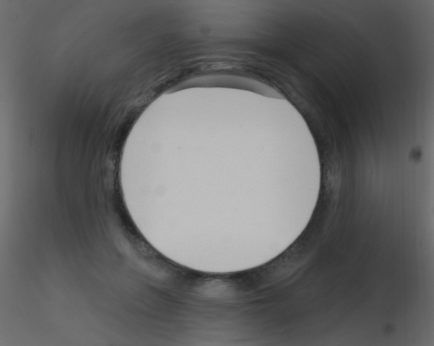 X0000115730551200912241628