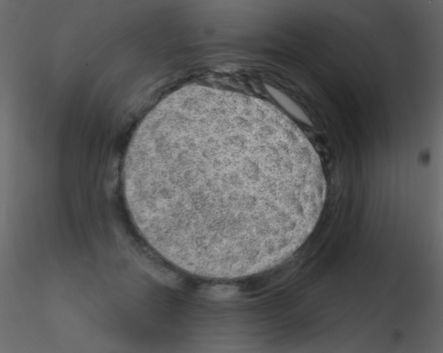 X0000115730554200912241628